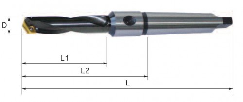 TĚLESA KOPINATÝCH VRTÁKŮ S MORSE STOPKOU